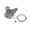 Us Motor Works New Water Pump, Us4030N US4030N - alternate 1